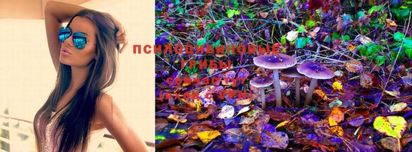 кокаин перу Алексеевка