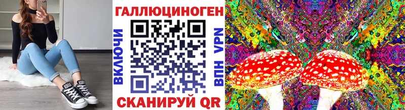 Галлюциногенные грибы Cubensis  где найти   Заполярный 